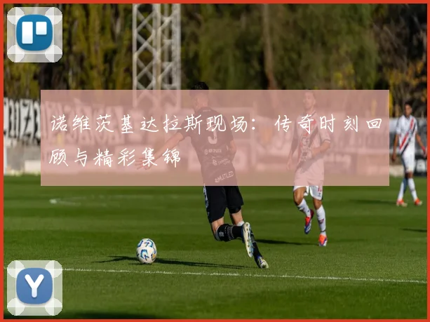 诺维茨基达拉斯现场：传奇时刻回顾与精彩集锦